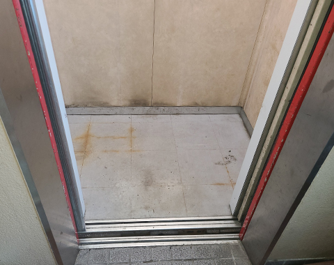 内装リニューアル3　前